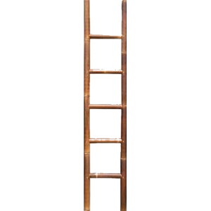 Ladder PNG-14795